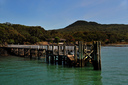 The jetty on Rangitoto Island