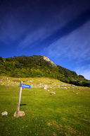 To the summit....  Mount Maunganui