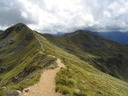 The Kepler Track