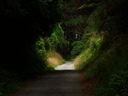 The Rimutaka Rail Trail