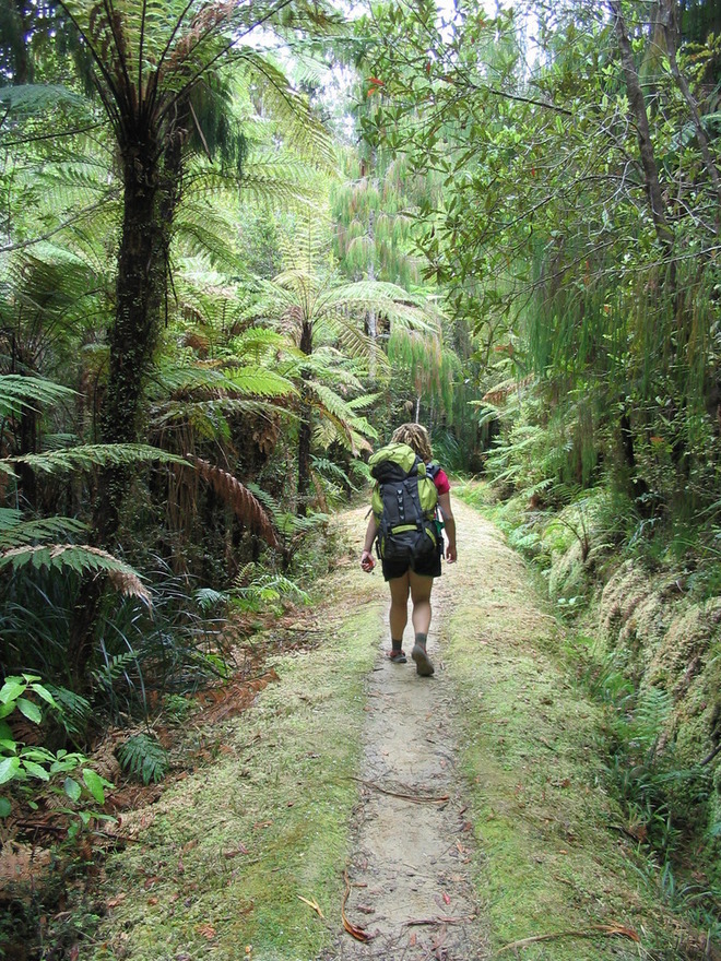 Heaphy Track - Kahurangi National Park, Nelson Region, NZ - 48 travel  reviews for Heaphy Track - Kahurangi National Park