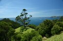 The walk from Stony Bay to Fletchers Bay