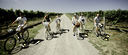 Cycling up Te Awanga Estate