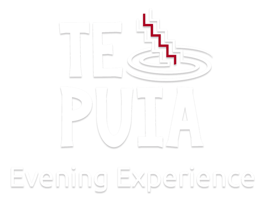 Te Pō - Te Puia Nightime Experience