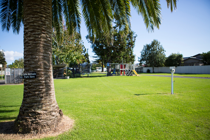 Plenty of lovely green sites!