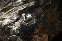 Penguins resting and socialising on the rocks