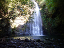 Waterfall along the way of the Tutakakahikura scenic reserve walk